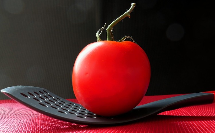 Saving the Tomato (Hebrew)