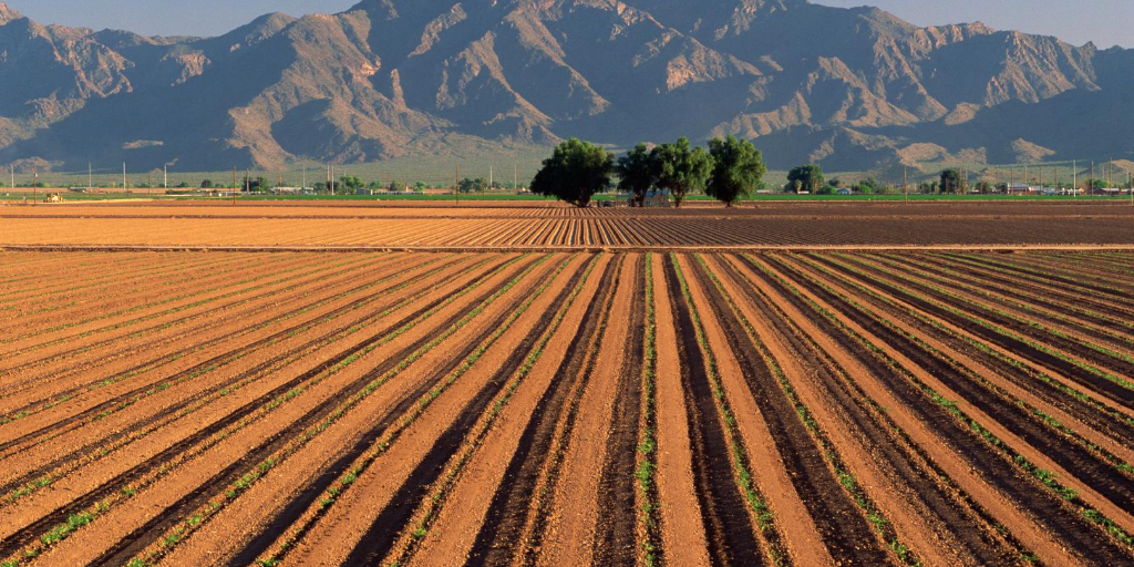 Arizona Webinar:  Agircultural Partnership Arizona-Israel