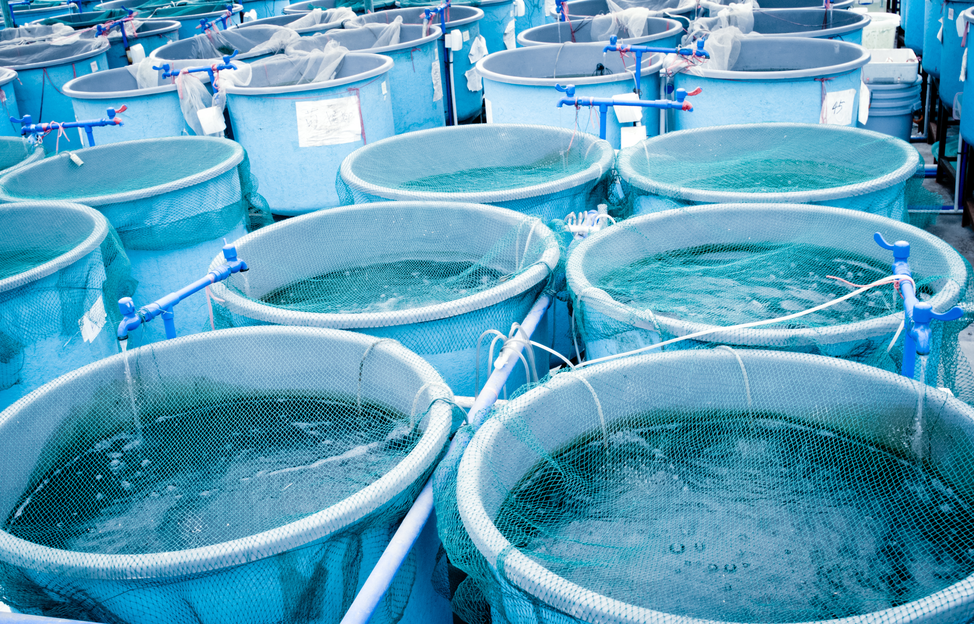 USDA,NIFA-BARD Aquaculture