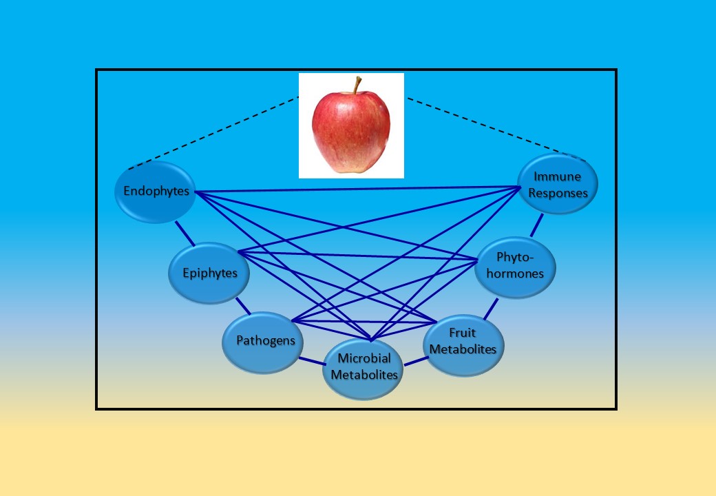 From Concept to Commercialization